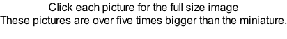 Click each picture for the full size image These pictures are over five times bigger than the miniature.